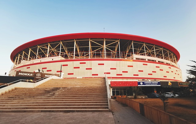 经进入最佳 经进入最佳