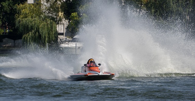 的努力为其 的努力为其