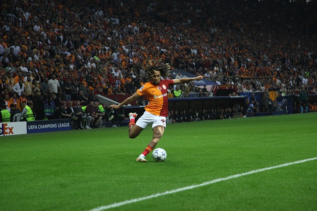 强的凝聚力 强的凝聚力