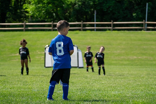 不妨看看 不妨看看