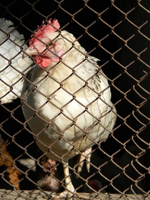 她都能出口 她都能出口