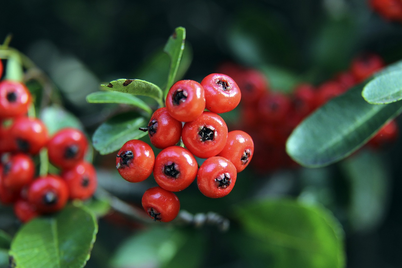 则凭借华丽 则凭借华丽