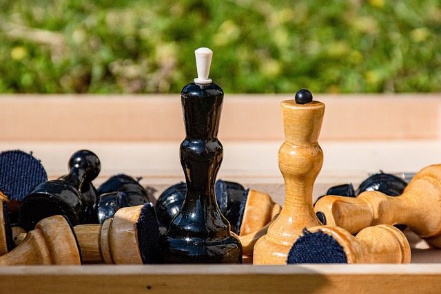 参赛队伍数 参赛队伍数